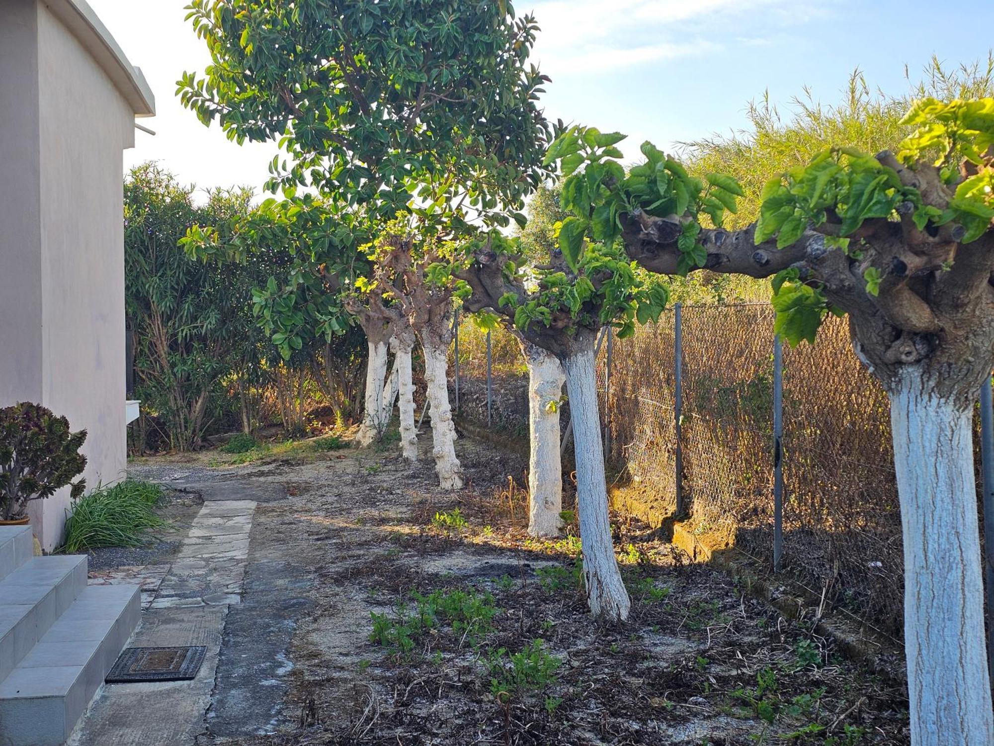 הוילה Koróni Country Side House מראה חיצוני תמונה